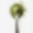 marketing_vsc_An_ultra-high-resolution_macro-style_image_of_a_s_f85461cb-0ba8-44c5-bdb5-b9