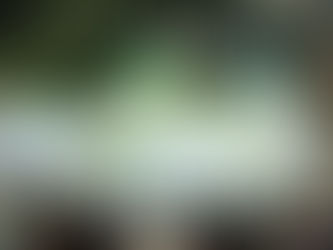 Thai Amaranth Pavilion at THAIFEX 2025 showcasing fresh, frozen, and powdered amaranth products with vibrant green design and educational displays.