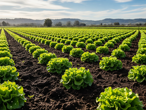 Embracing Circular Economy: The Role of Azogen in Sustainable Farming