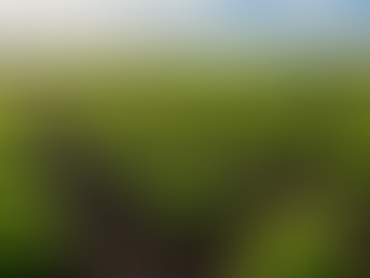 Embracing Circular Economy: The Role of Azogen in Sustainable Farming