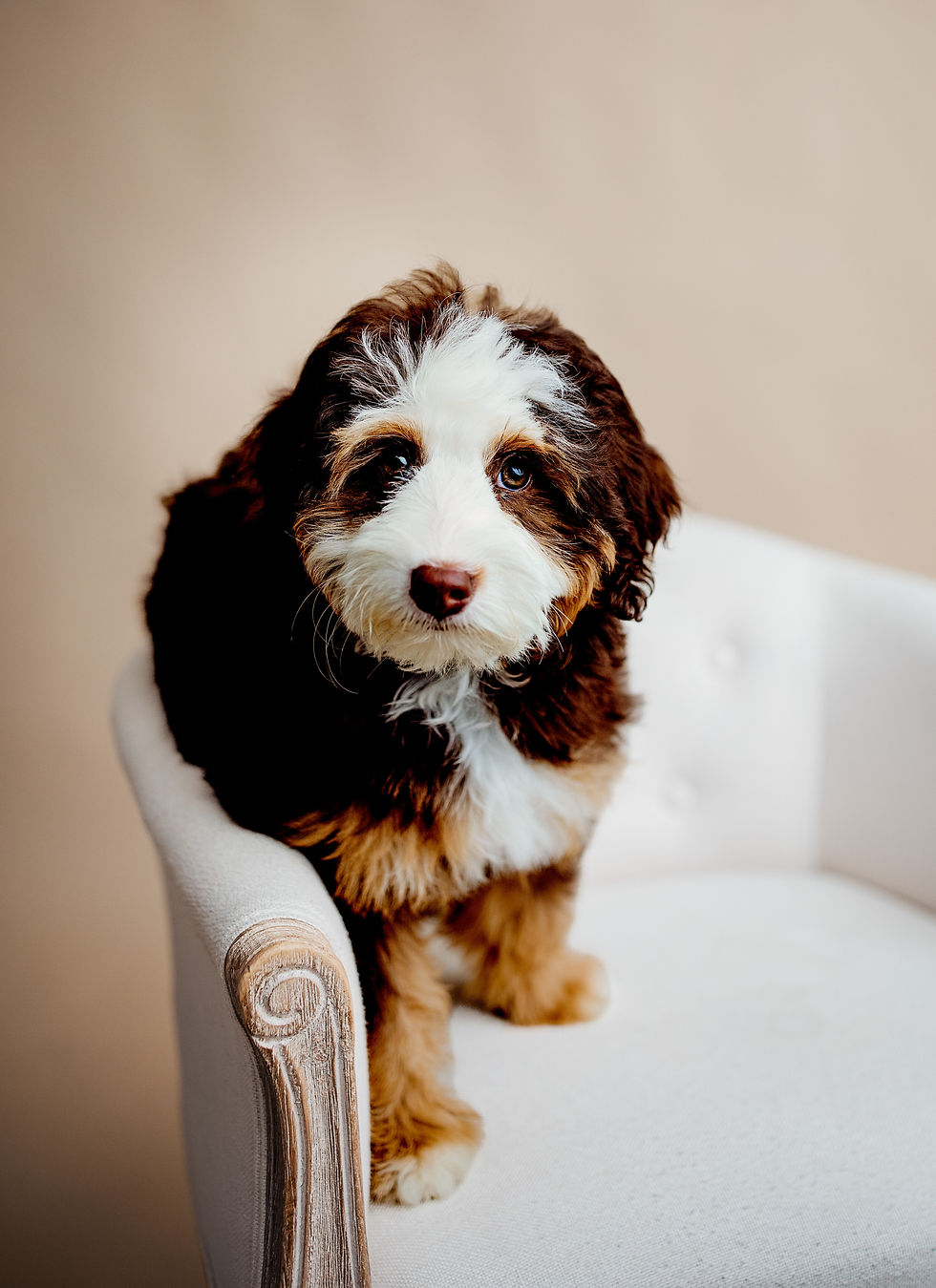 B97C2514-E51F-4630-BF27-C530A52AC16B