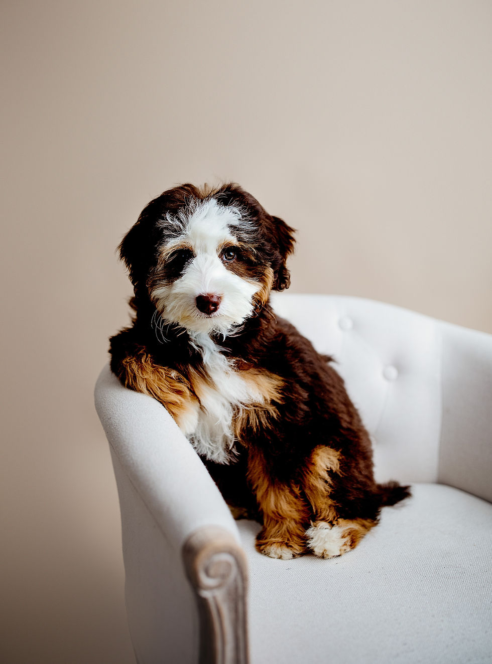 4FE6F27E-1C35-4C16-B24D-9934E80D1E12