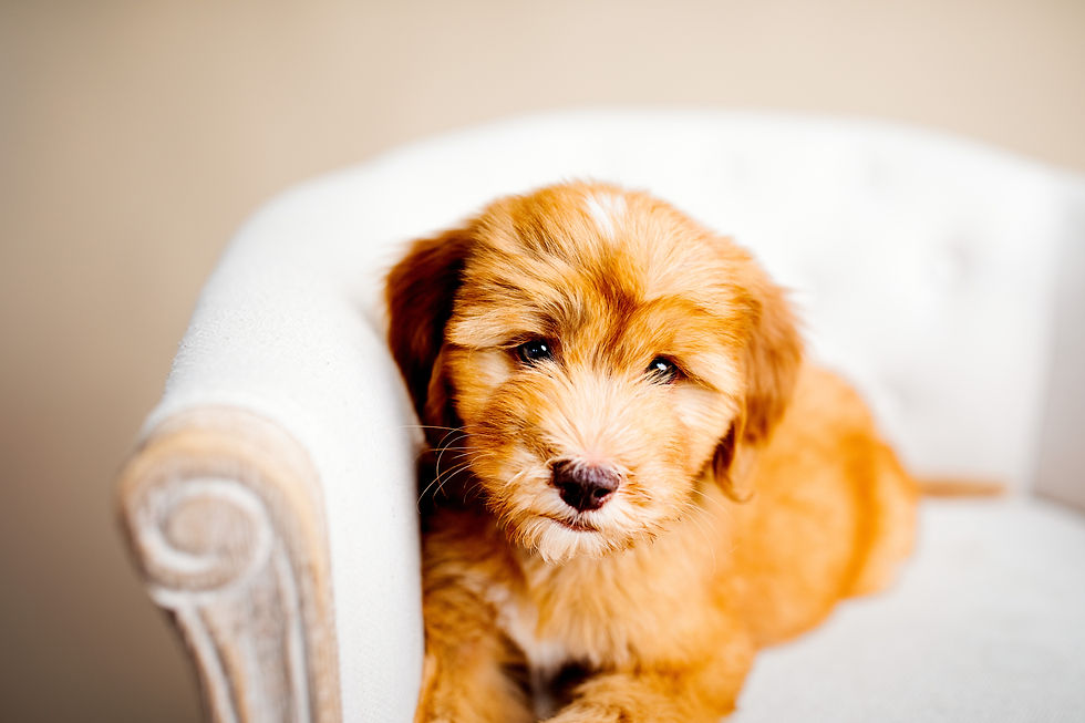 A48D67C2-49EA-4231-9520-BCC862C9467C