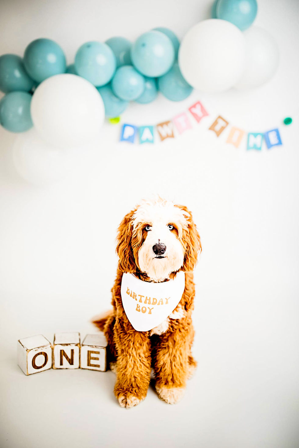 CD48E4A1-90F8-429C-AF17-3838A9C9F0A2