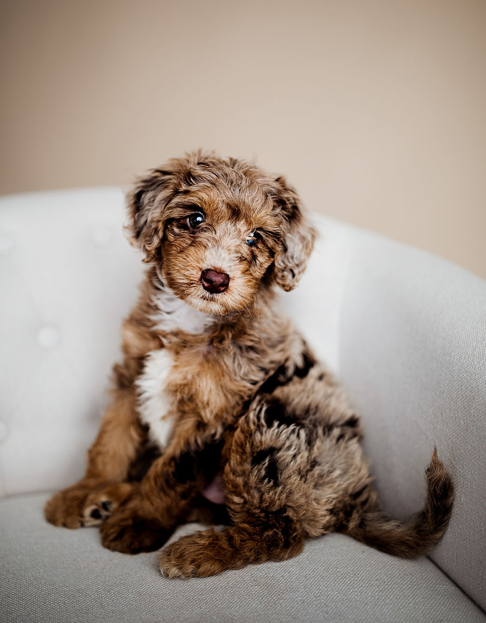 F7E67BB4-F4B7-4C05-B807-5F339499FDC4