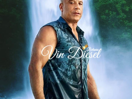 Vin Diesel Hits Back at Body-shamers in Instagram Photo.