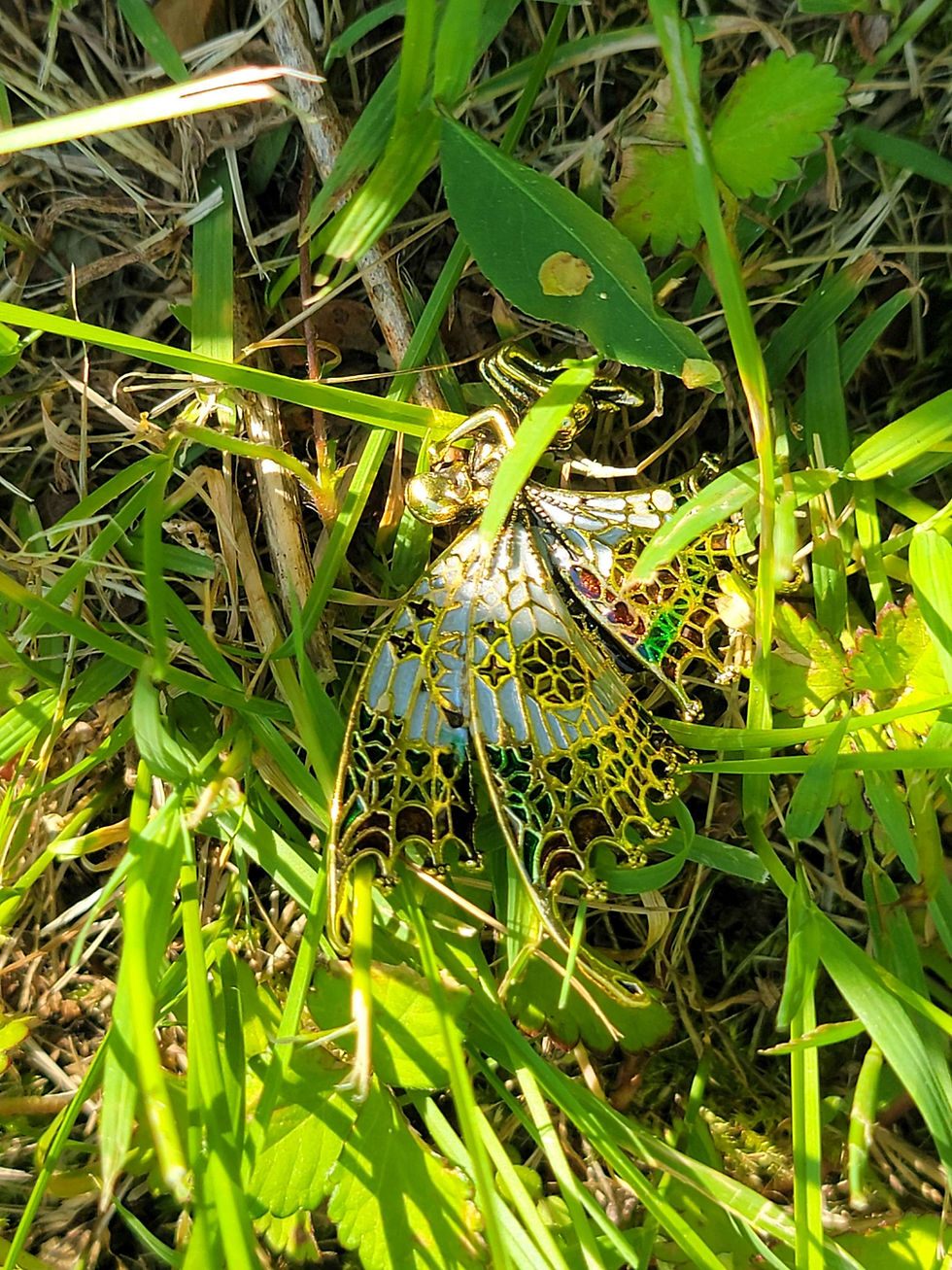 Thumbnail: Weeping Butterfly Fairey