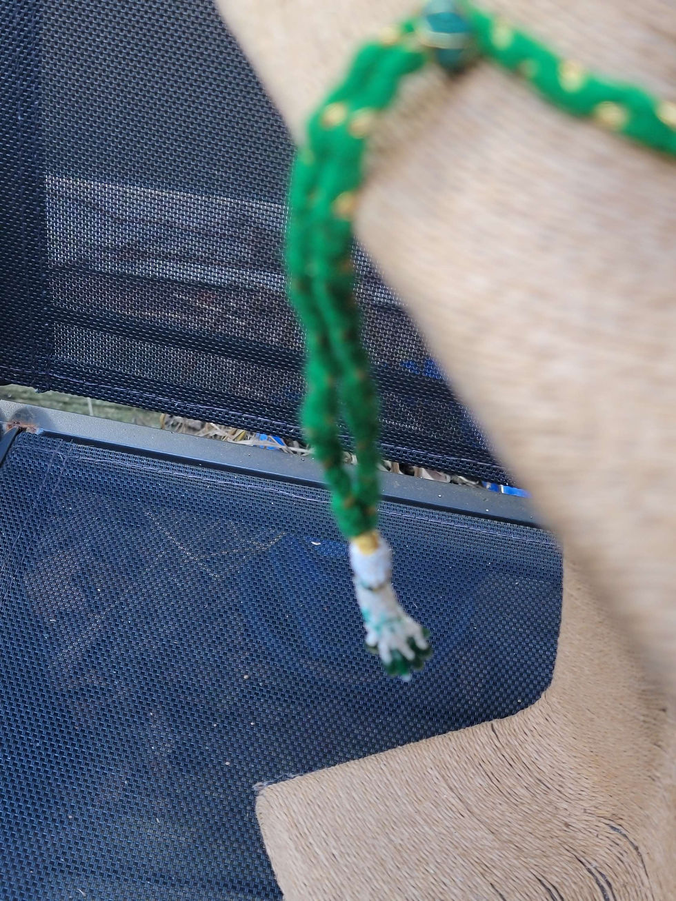 Thumbnail: Afghan Green Nephrite Jade Mala