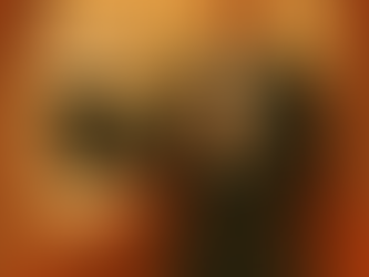 Budget Houdini: How We Delivered Champagne Results on a Beer Budget