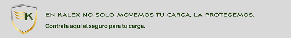 Contrata aquí el seguro para tu carga..png