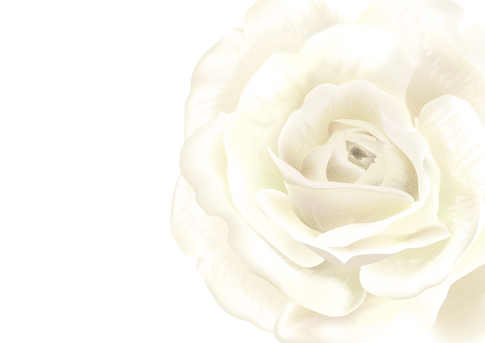 バラ背景画像png.png