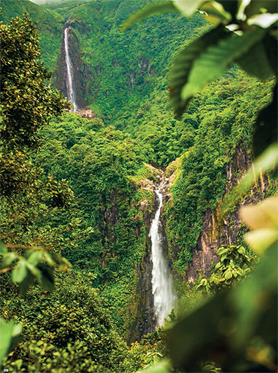 les chutes du Carbet