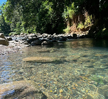 canyon moustique