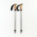 Trekking Poles