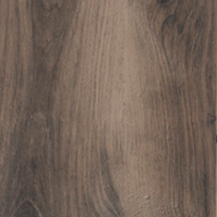Euca_Cetic_Oak