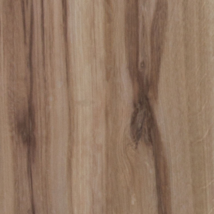 Euca_Carvalho_Córdoba