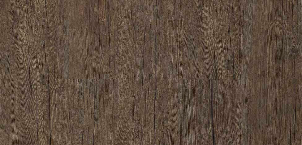 city-padrao-toronto-976x468