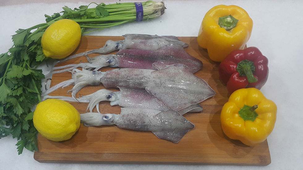 Imej kecil: Sotong