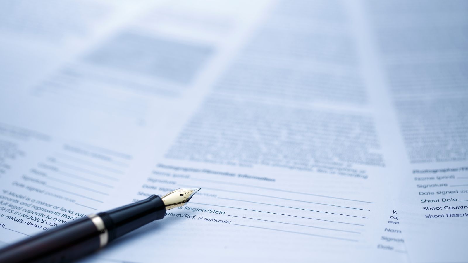  Staff augmentation contract