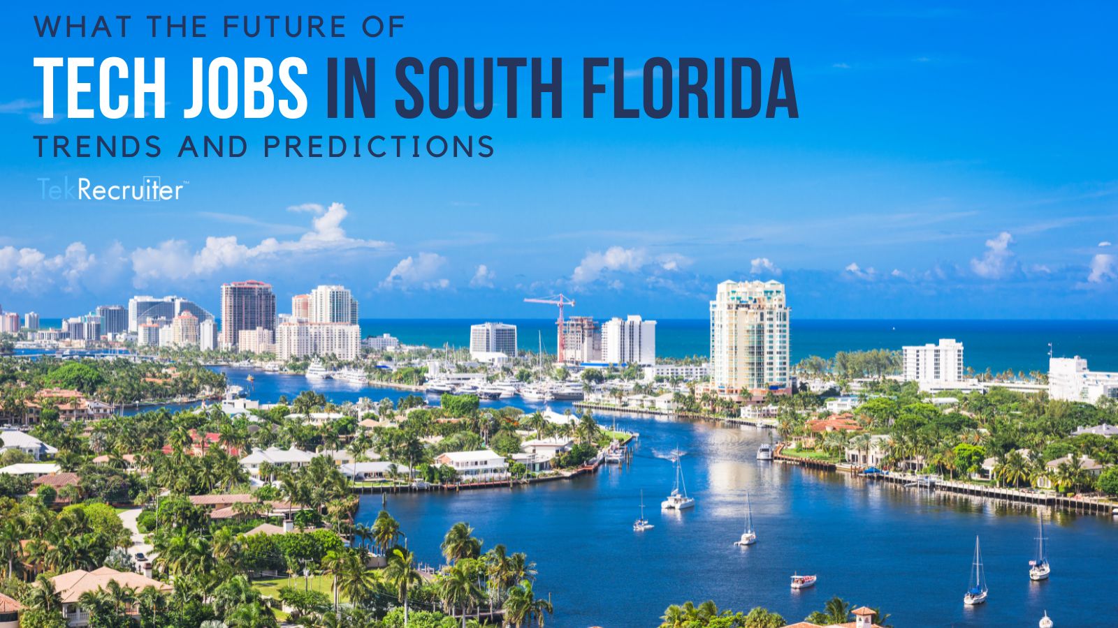 The Future of Tech Jobs: Trends and Predictions