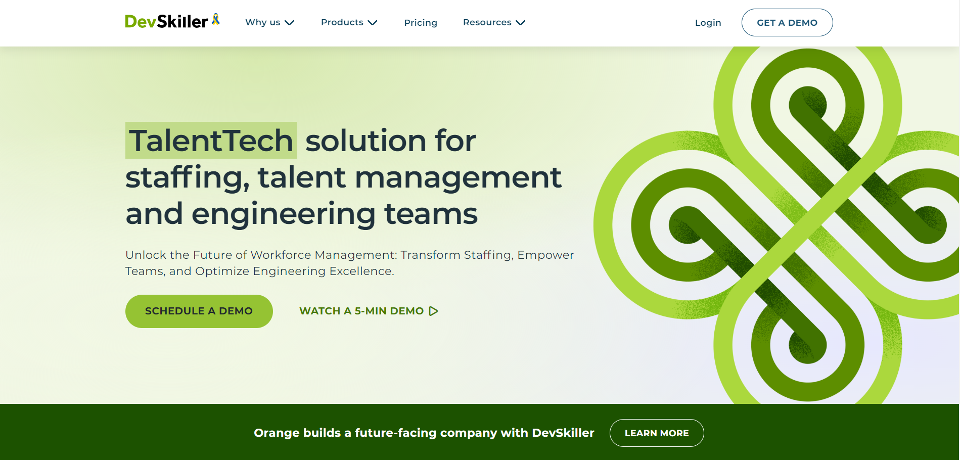 Devskiller website