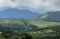 周辺 霧ケ峰高原 八島湿原.jpg