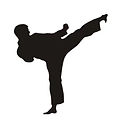 karate02-v2-768x768.jpg.webp