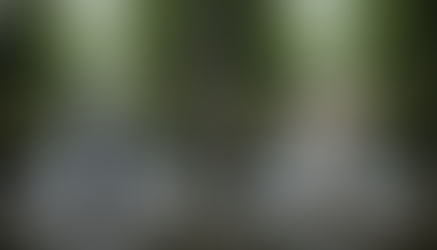 a picture that depicts willingness. the idea is to have the picture divided into two halves. on one side a person is standing under a gush of water coming from a waterfall of a stream. the person is wearing clothes that are getting wet from the water. the water is cold and the person is in resistance, hands protecting the head, the body is constricted. on the other side of the picture the same person is standing under the same waterfall but this time is open to the experience, embracing the flow of cold water on the head, body open and willing. the background is realistic, of peaceful lush natural surroundings. the two halves are separated by a blurred background strip