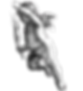 pdfeminine1-element-set-nap-03 [Converted]-05.png
