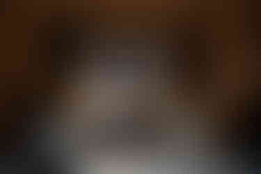 Cabane Tortin is one of the most exclusive ski cabin in the Alps