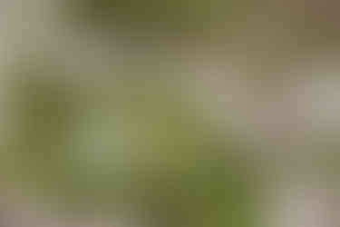 7132 remains the Alps’ definitive destination for architecture and bathing culture.