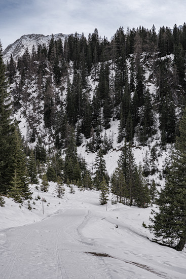 eriro offers an all-inclusive way of living