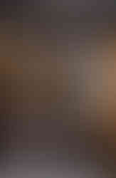 2nd floor dining area at ALTA