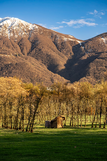 The estate of Castello del Sole