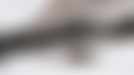 eriro, An Alpine Hideaway Shaped by Stillness, Craft, and Elemental Beauty