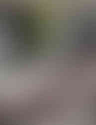 7132 remains the Alps’ definitive destination for architecture and spa culture.