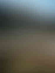 The Andean Explorer by Belmond