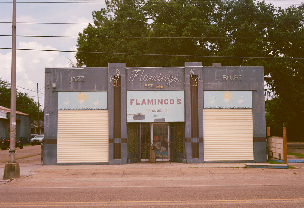 Flamingos, Lafayette, LA
