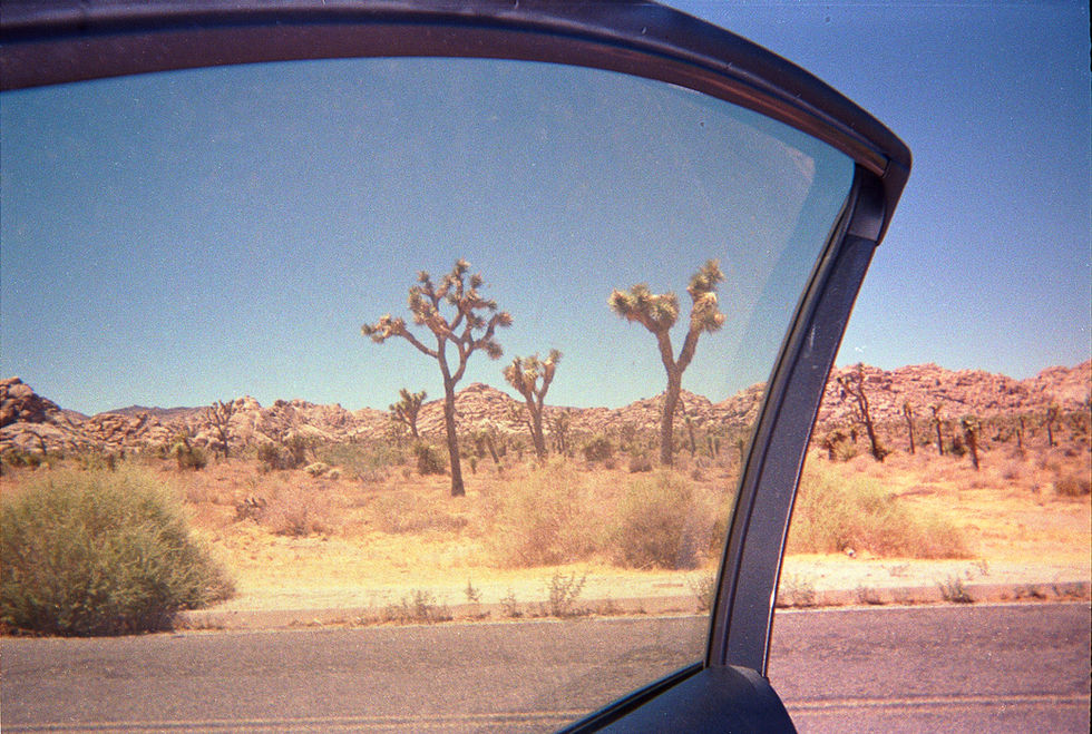 Untitled, Joshua Tree, CA
