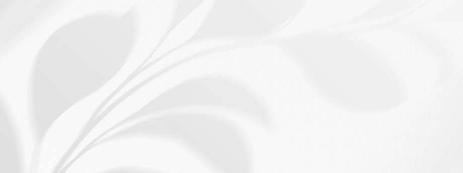 BB Banner BG.png