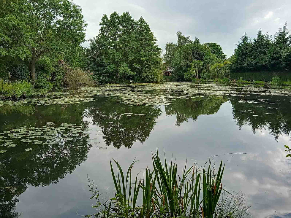 Towers road - Work Party