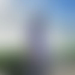 新たな農園スタイル