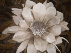 Fiore di cactus