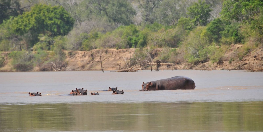 Serena Mivumo River Lodge