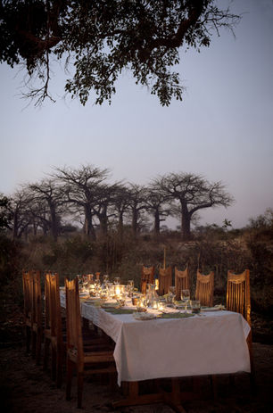 Kigelia Ruaha Camp tented suite surrounded by baobab trees in Ruaha National Park, Tanzania.