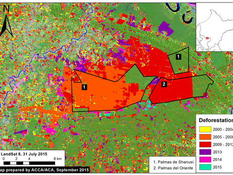 Anti-Deforestation References