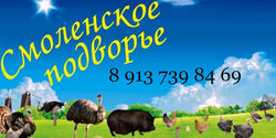 Смоленское подворье страусиная ферма