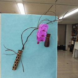 IMG_20220308_214136_043