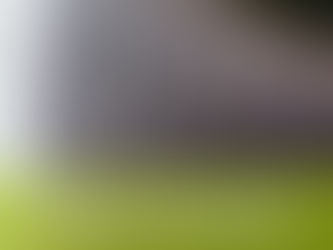 L'ECONOMIA CIRCOLARE DEGLI PNEUMATICI FUORI USO: LE SFIDE PER IL COMPARTO ITALIANO 