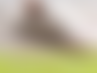 LA MODA GUARDA A CALZATURE SEMPRE PIÙ SOSTENIBILI